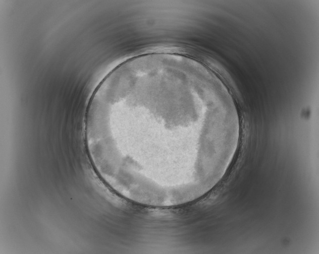 X0000112100852200909151158