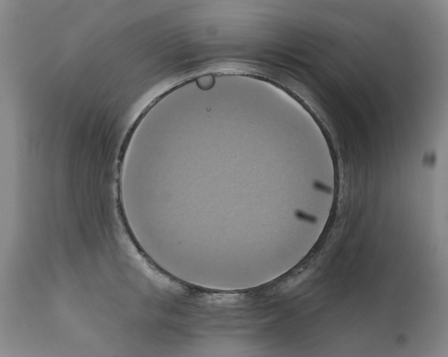 X0000112100853200909151158