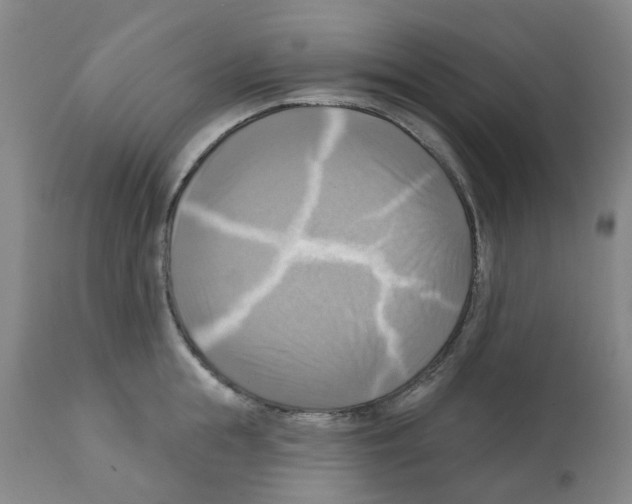 X0000112100855200909151158