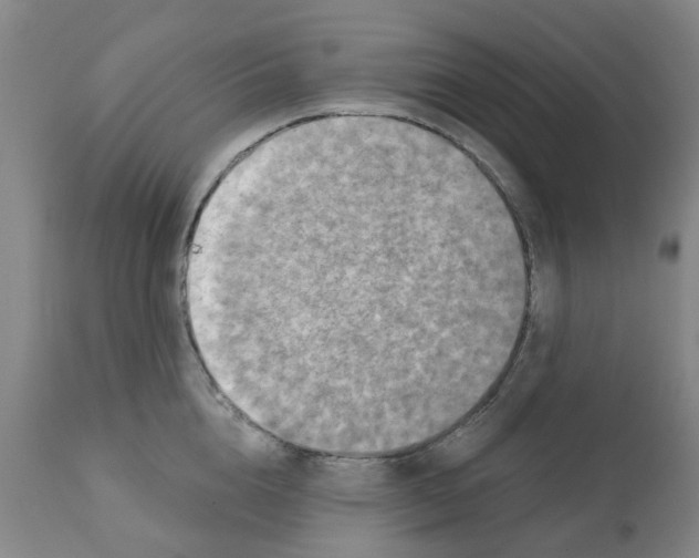 X0000112100856200909151158