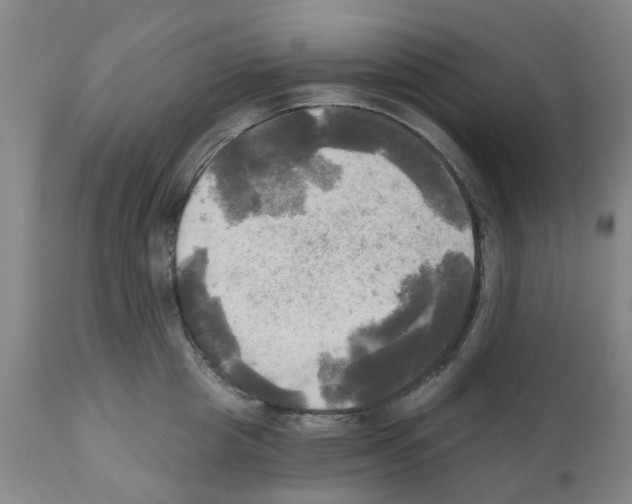 X0000112100857200909151158