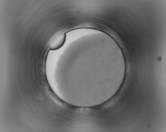 X0000112100858200909151158
