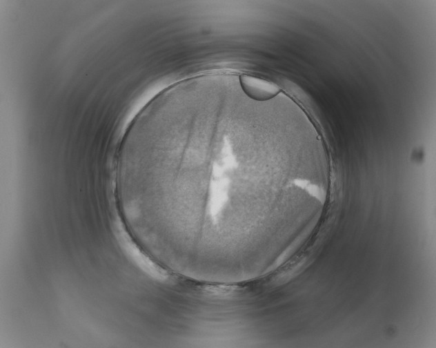 X0000112100859200909151158