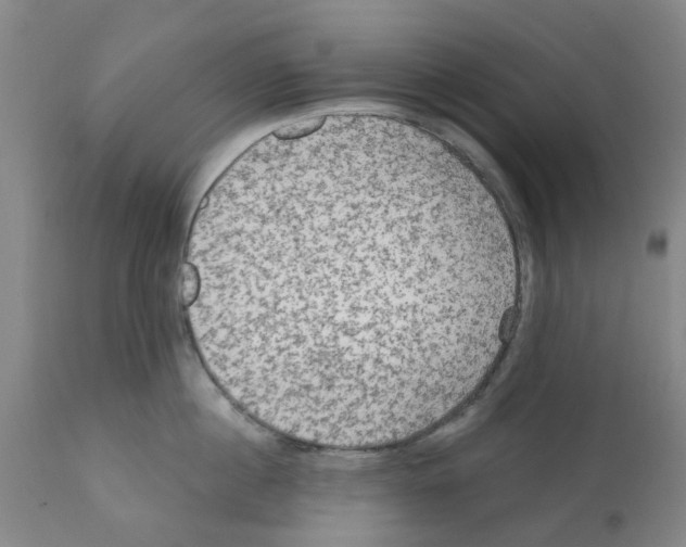 X0000112100860200909151158