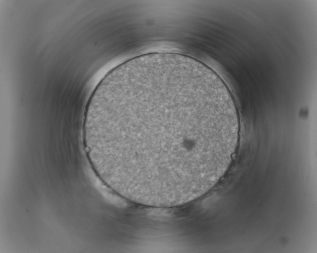 X0000112100861200909151158