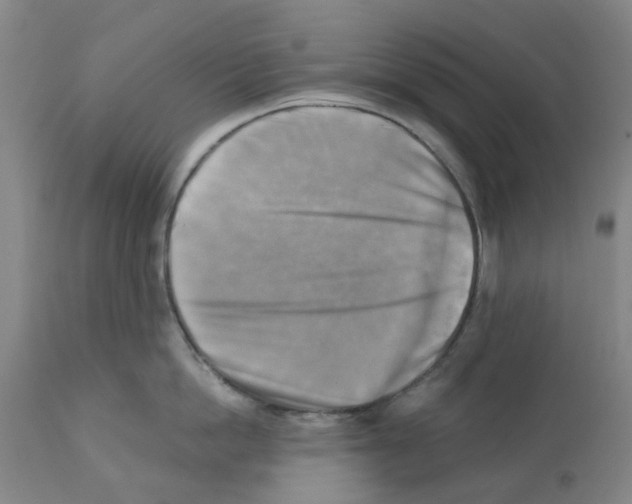 X0000112100862200909151158