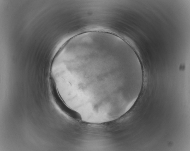 X0000112100863200909151158