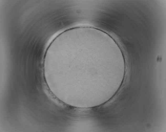 X0000112100864200909151158