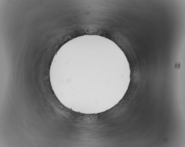 X0000112100865200909151157