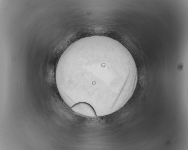 X0000112100866200909151157