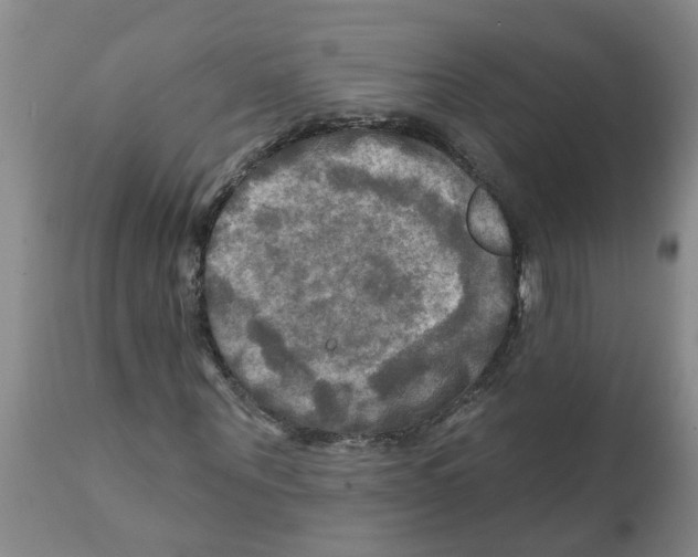 X0000112100867200909151157