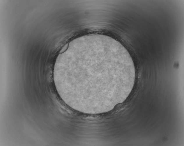 X0000112100868200909151157