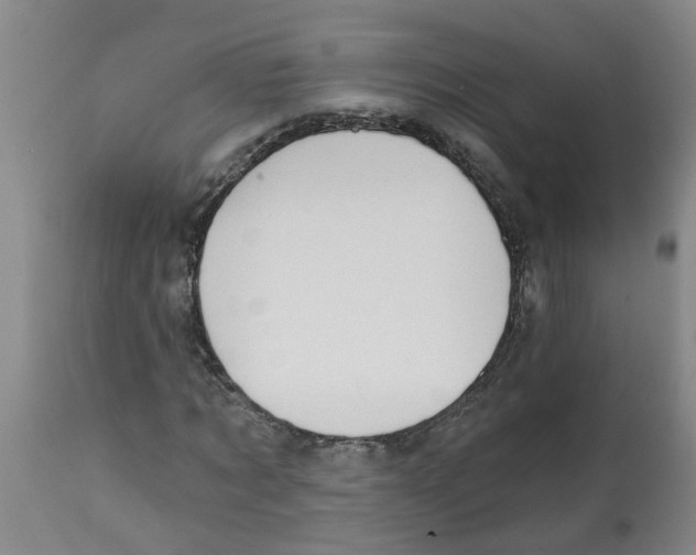 X0000112100869200909151157