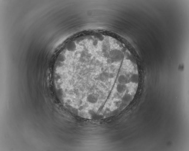 X0000112100871200909151157