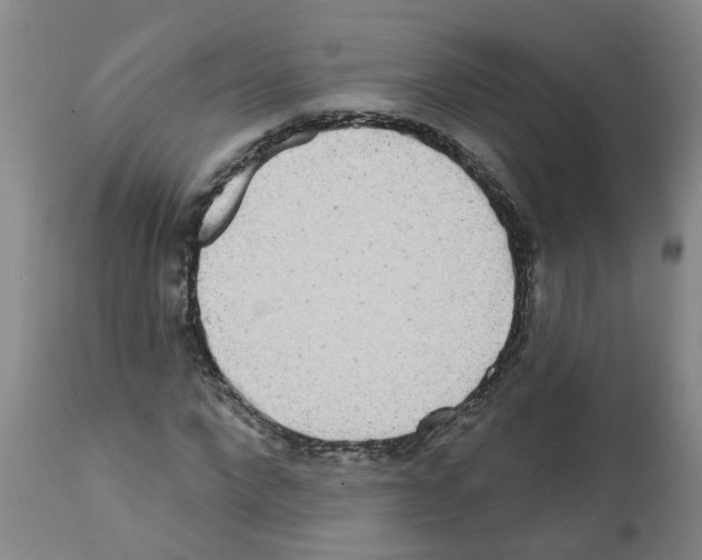 X0000112100872200909151157