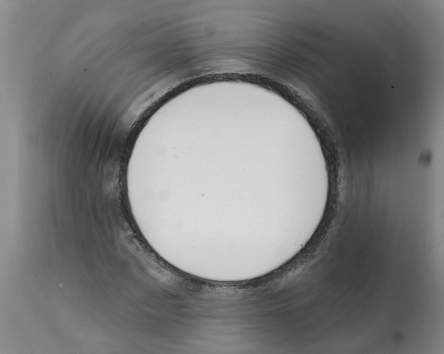 X0000112100873200909151157