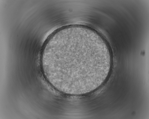 X0000112100875200909151157