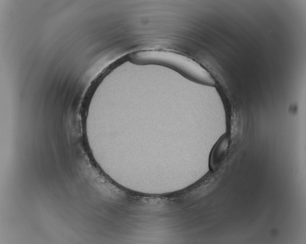 X0000112100876200909151157