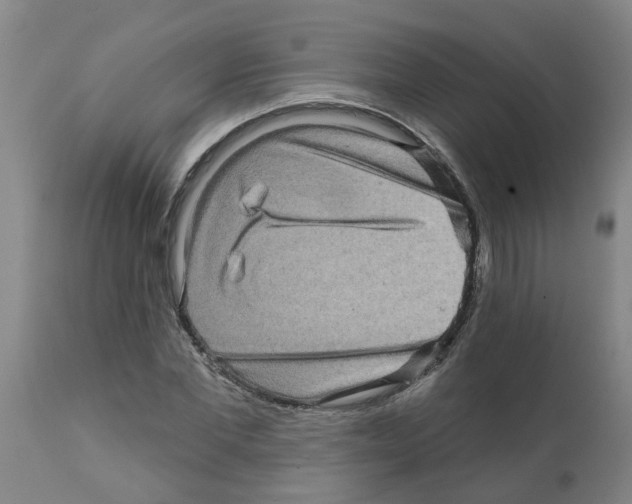 X0000112100877200909151157