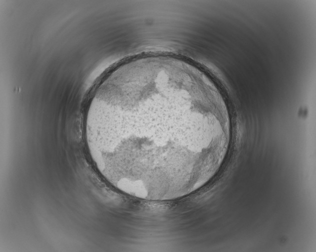 X0000112100878200909151157