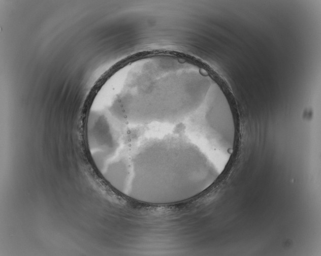 X0000112100879200909151157