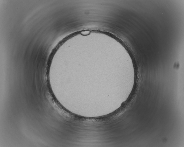 X0000112100880200909151157