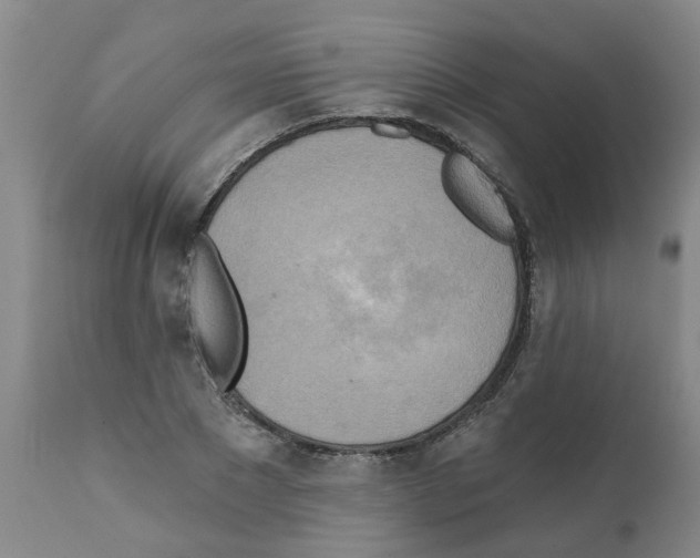 X0000112100881200909151157