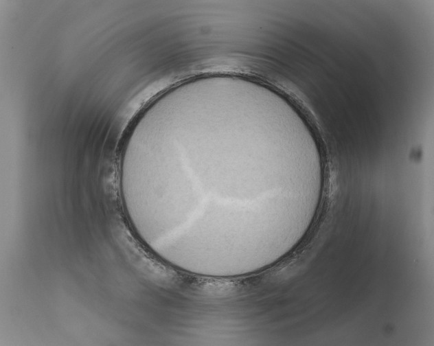 X0000112100882200909151157
