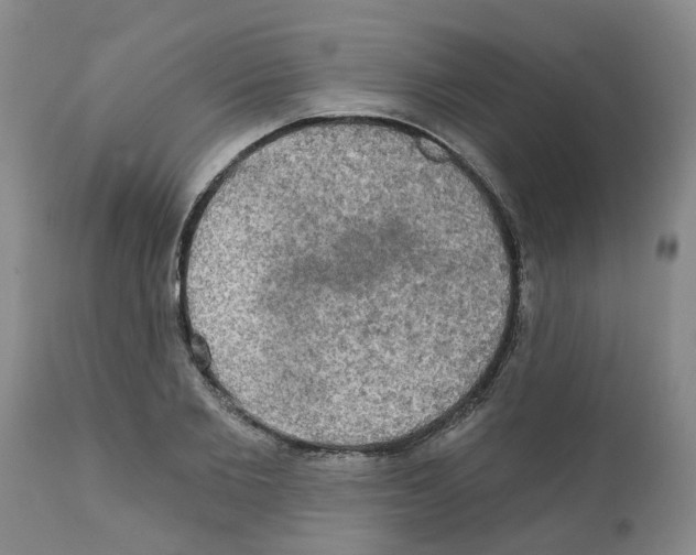 X0000112100885200909151157
