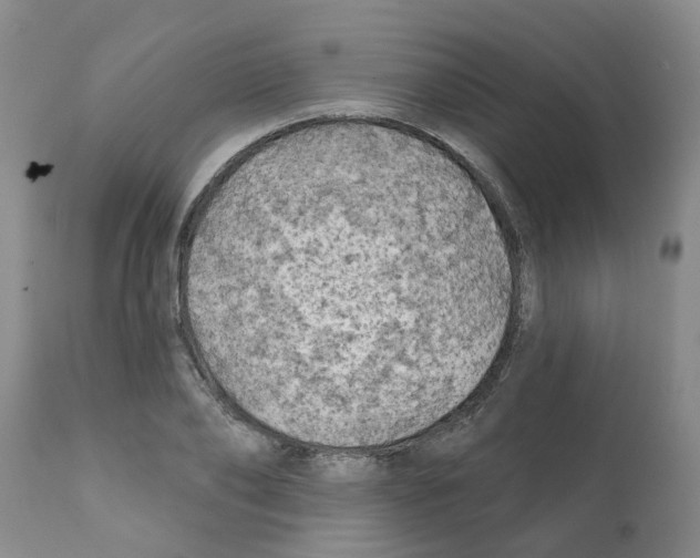 X0000112100886200909151157