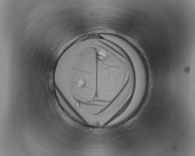 X0000112100889200909151157