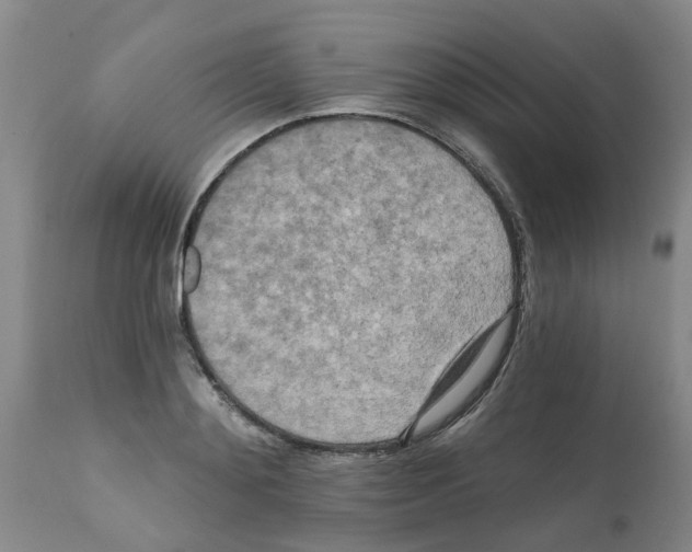 X0000112100892200909151157