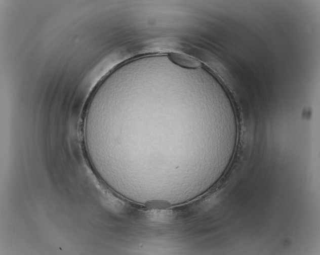 X0000112100893200909151157