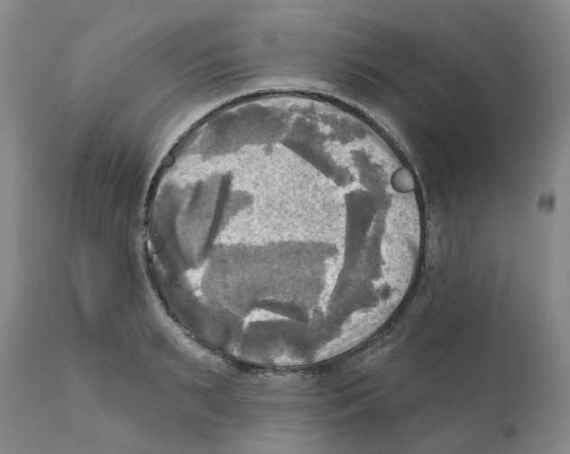 X0000112100895200909151157