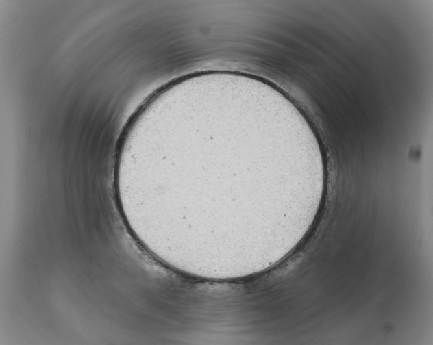 X0000112100896200909151157