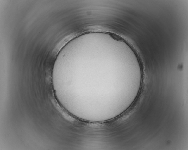 X0000112100897200909151157