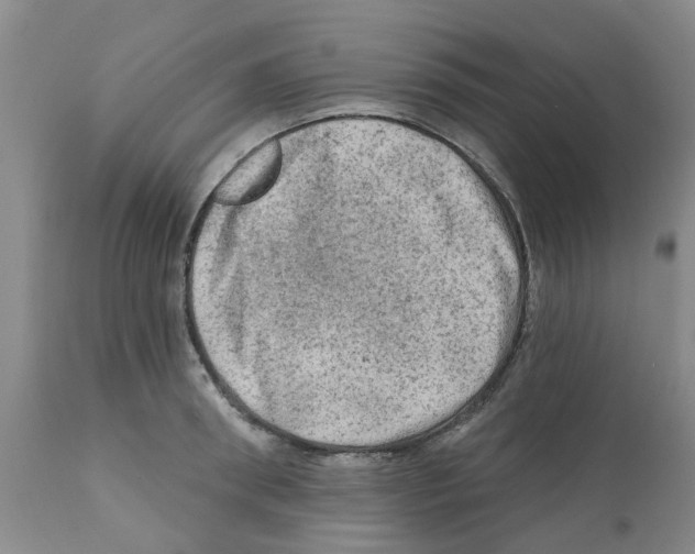 X0000112100898200909151157