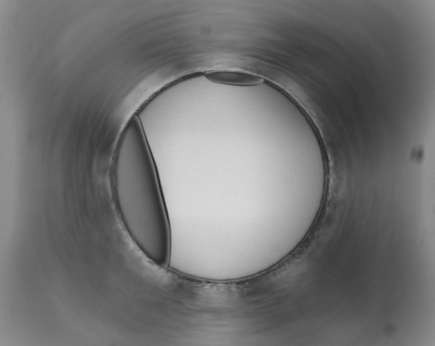 X0000112100901200909151157