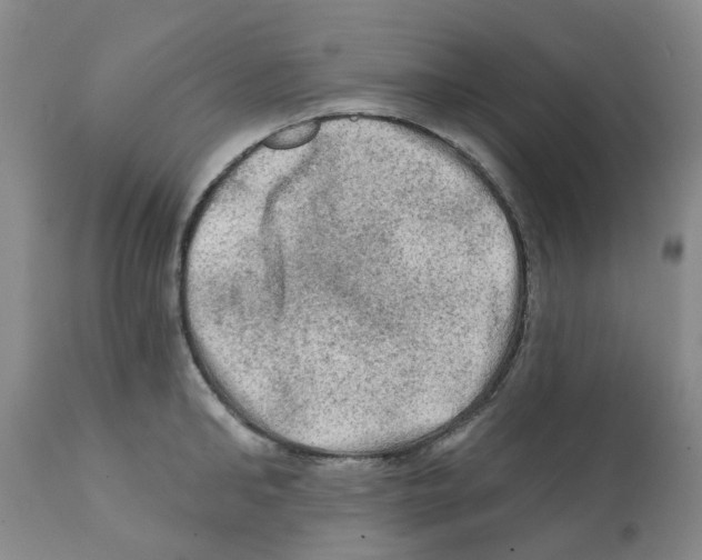 X0000112100902200909151157