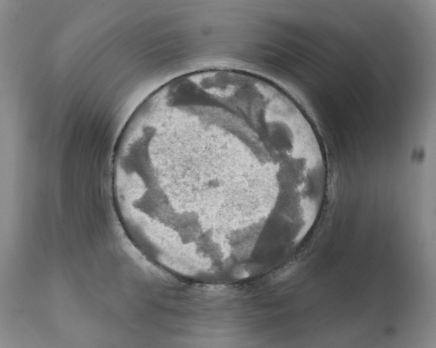 X0000112100903200909151157