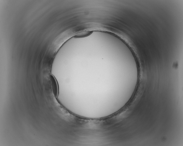 X0000112100905200909151157