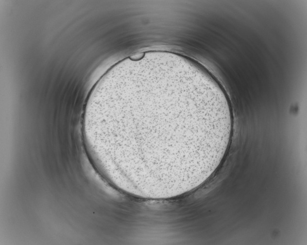 X0000112100906200909151156