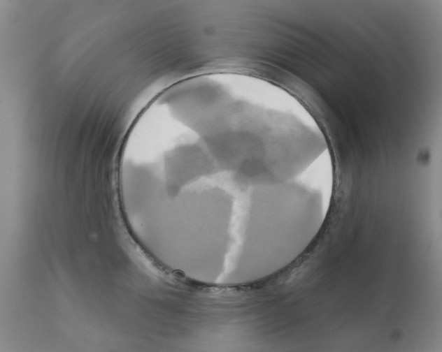 X0000112100907200909151156