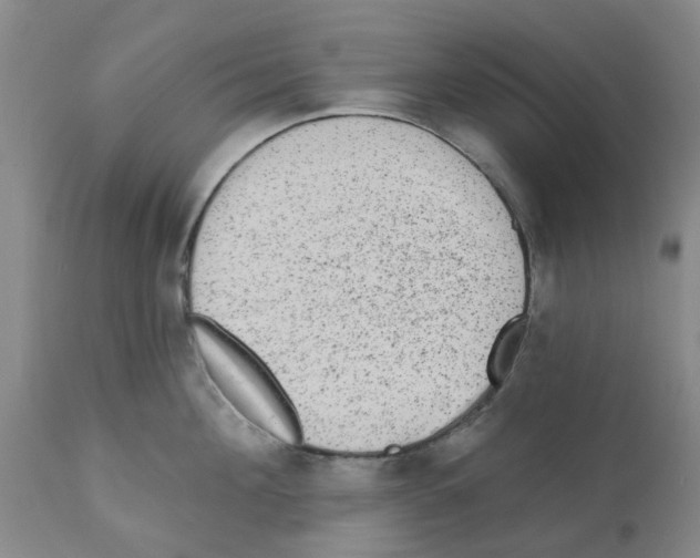 X0000112100908200909151156