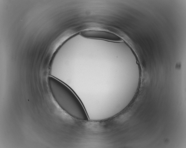 X0000112100909200909151156