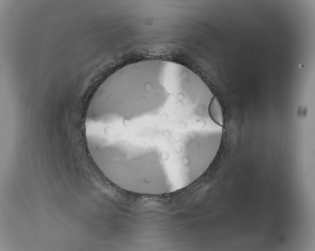 X0000112100913200909151156