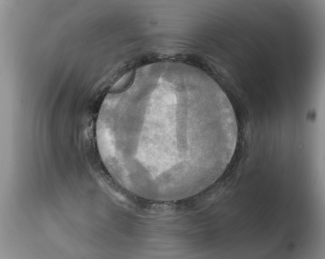X0000112100914200909151156