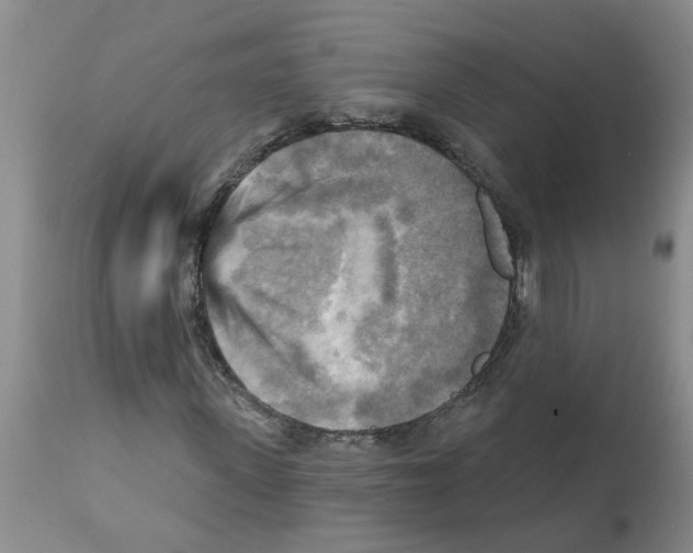 X0000112100915200909151156