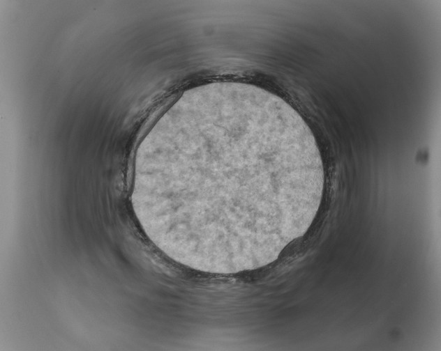 X0000112100916200909151156