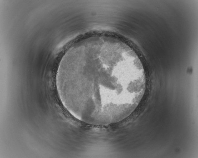 X0000112100919200909151156